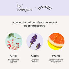 by/rosie jane Aroma Kit
