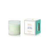 Aloha Orchid Luce d'Amalfi Boxed Tumbler Candle