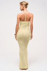 Remy Knit Maxi Dress in Primrose