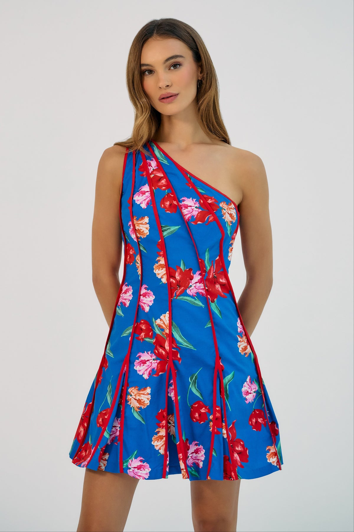Nadetta Mini Dress