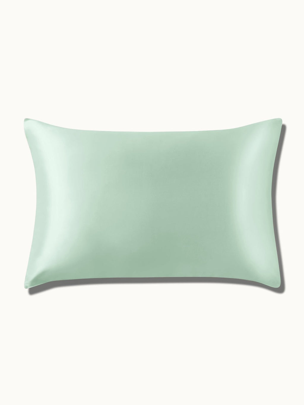 2 Pack Soft Silk Pillowcases with Hidden Zipper