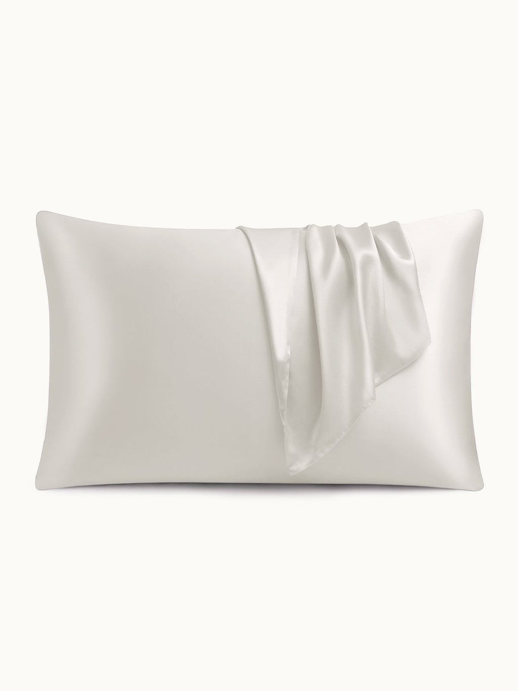 2 Pack Soft Silk Pillowcases with Hidden Zipper