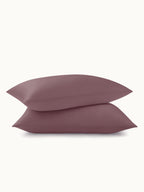 2 Pack Soft Silk Pillowcases with Hidden Zipper