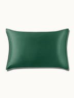 2 Pack Soft Silk Pillowcases with Hidden Zipper