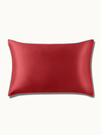 2 Pack Soft Silk Pillowcases with Hidden Zipper