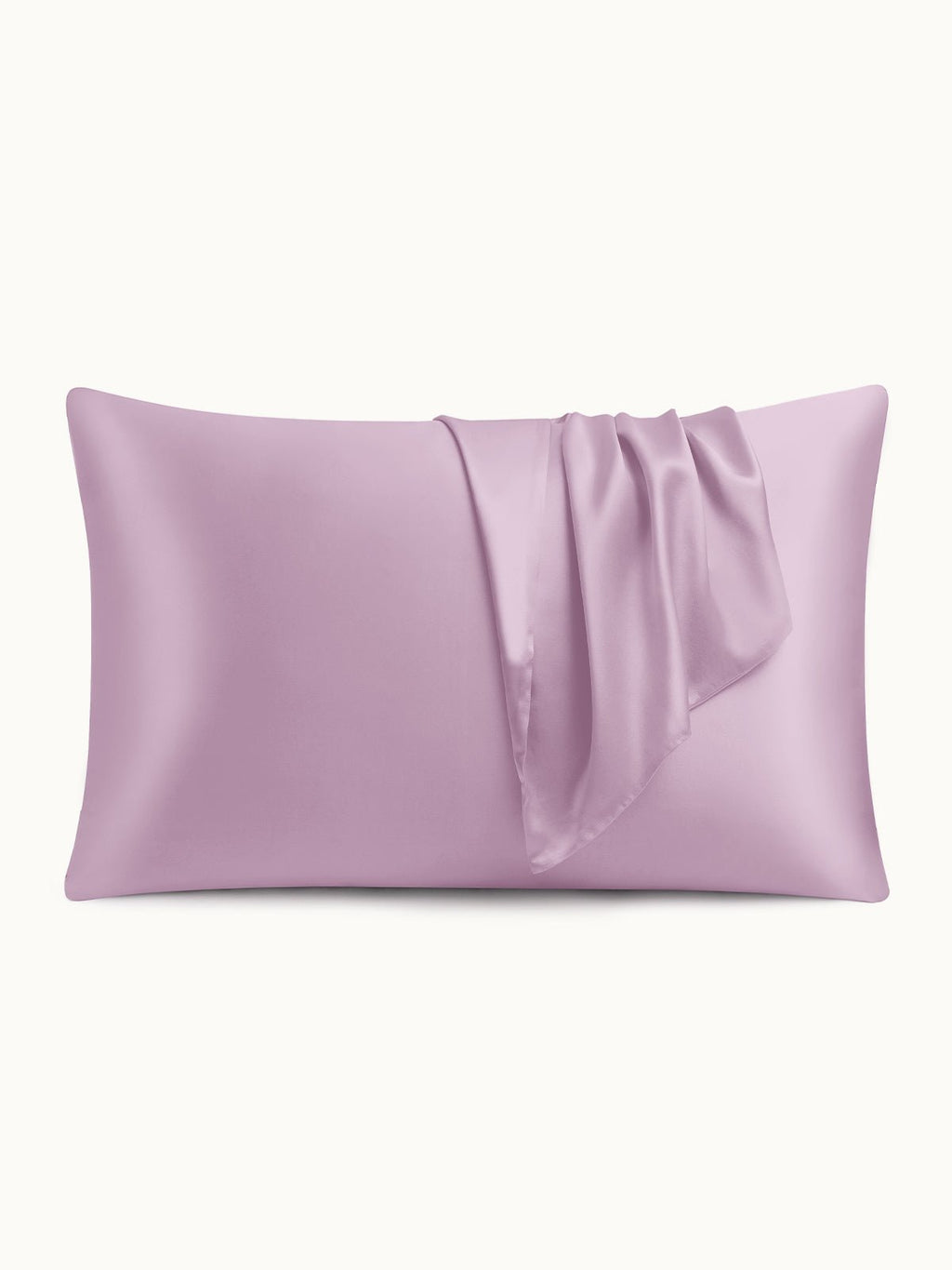 2 Pack Soft Silk Pillowcases with Hidden Zipper