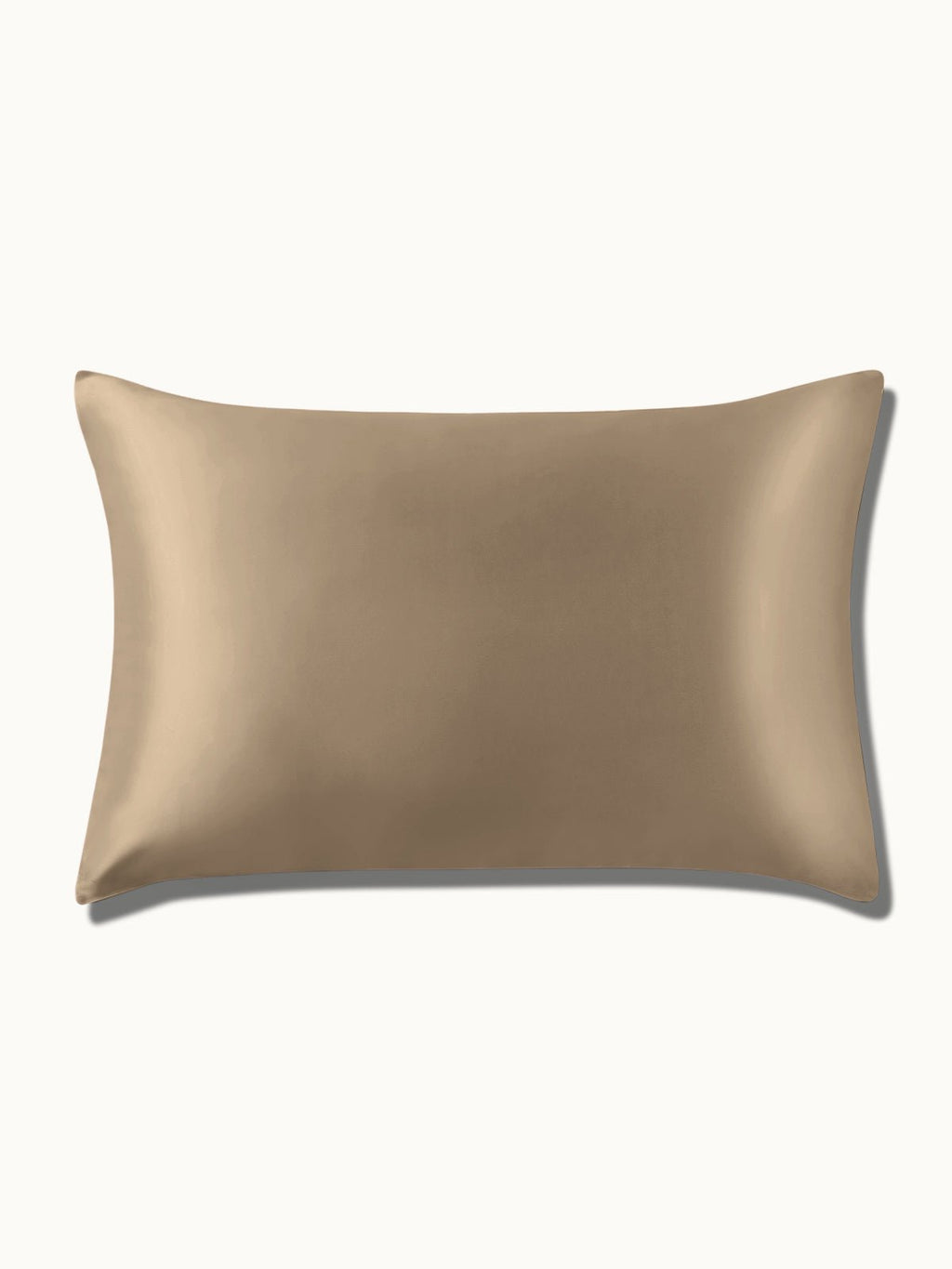 2 Pack Soft Silk Pillowcases with Hidden Zipper