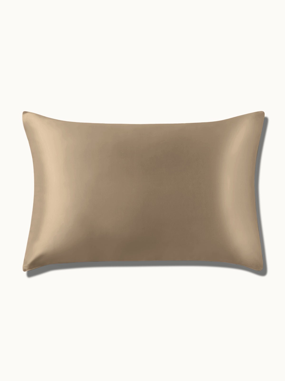 2 Pack Soft Silk Pillowcases with Hidden Zipper
