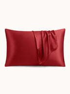 2 Pack Soft Silk Pillowcases with Hidden Zipper