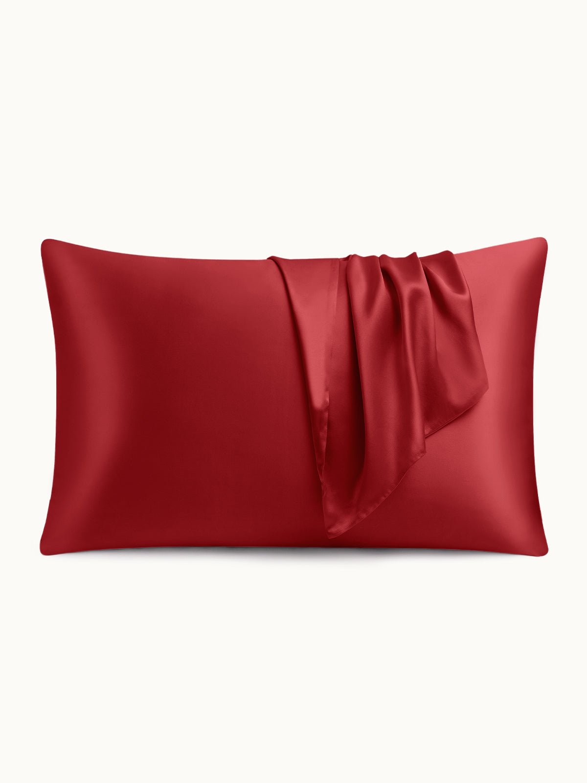 2 Pack Soft Silk Pillowcases with Hidden Zipper