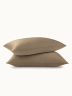 2 Pack Soft Silk Pillowcases with Hidden Zipper