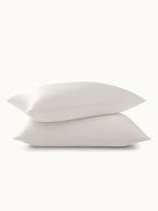 2 Pack Soft Silk Pillowcases with Hidden Zipper