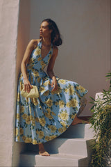 Alara Maxi Dress