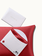 2 Pack Premium Silk Pillowcases
