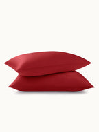 2 Pack Premium Silk Pillowcases