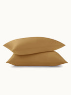 2 Pack Premium Silk Pillowcases
