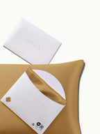 2 Pack Premium Silk Pillowcases