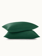 2 Pack Premium Silk Pillowcases