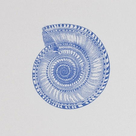 Nautilus Notepad