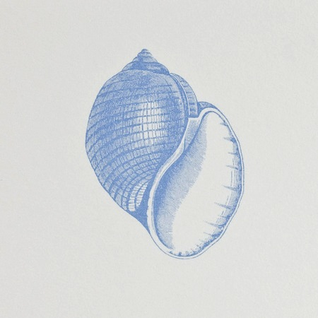Common Shell Notepad