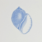Common Shell Notepad