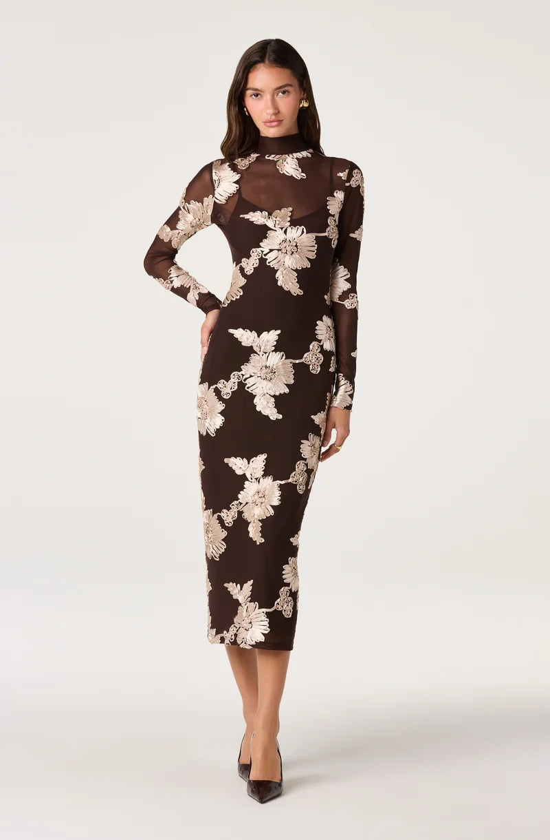Florentine Embroidered Mesh Midi Dress