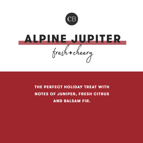 Alpine Juniper Glam Mini Tin Candle