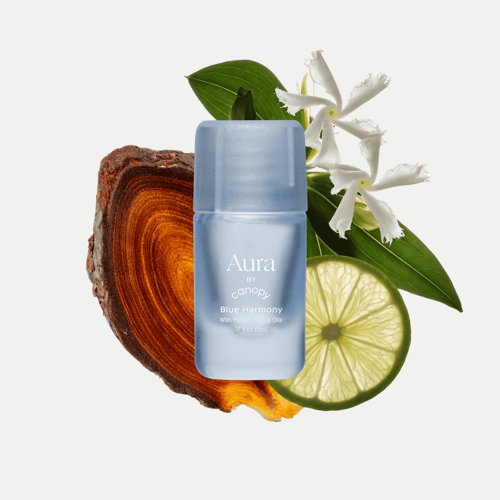 Aura Aroma Kit