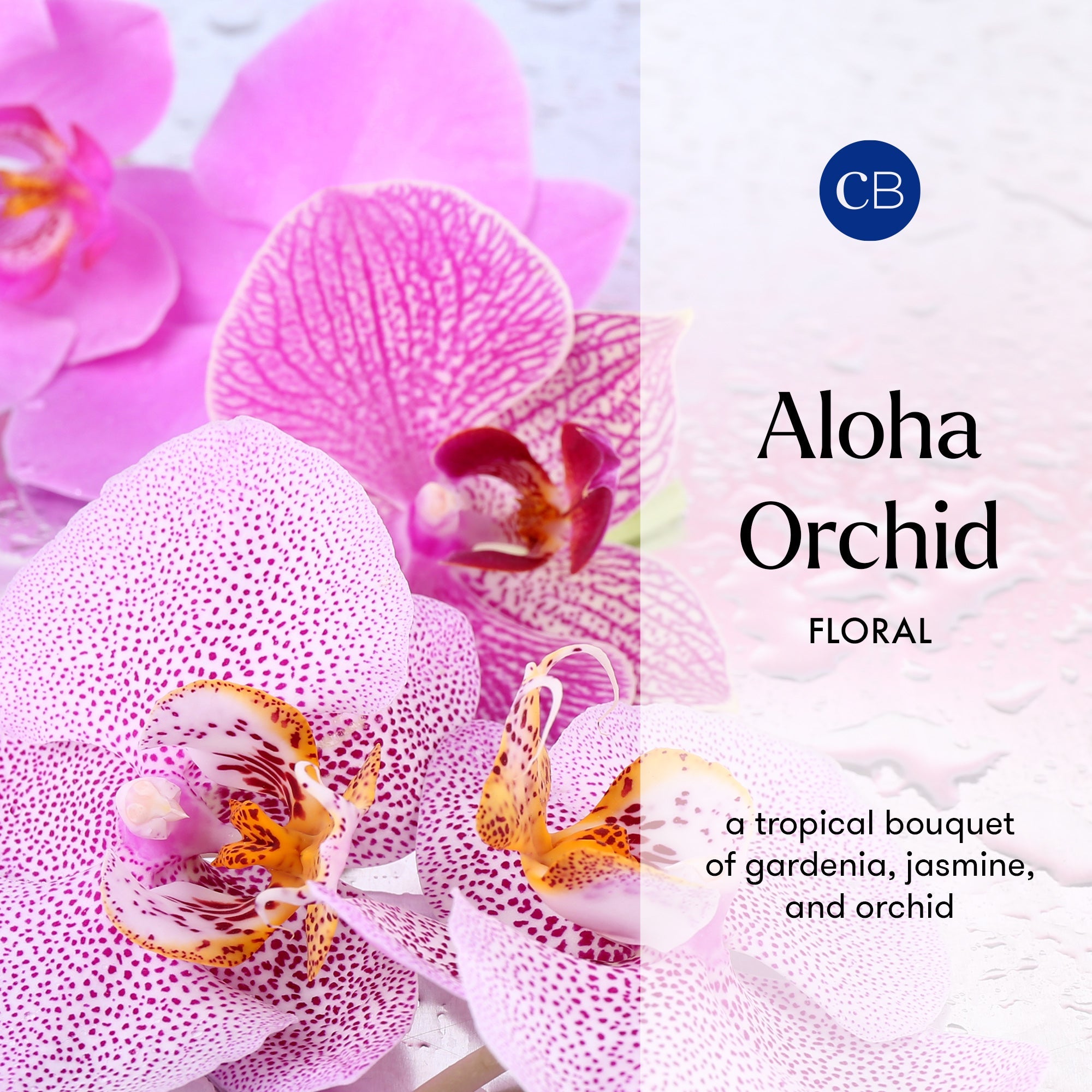 Aloha Orchid Diffuser Oil