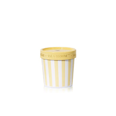 Isla Bloom Caffè Capri Gelato Cup Candle