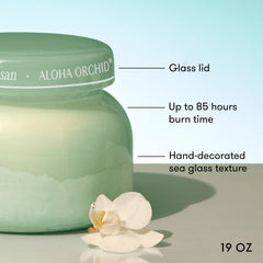 Aloha Orchid Luce d'Amalfi Signature Candle