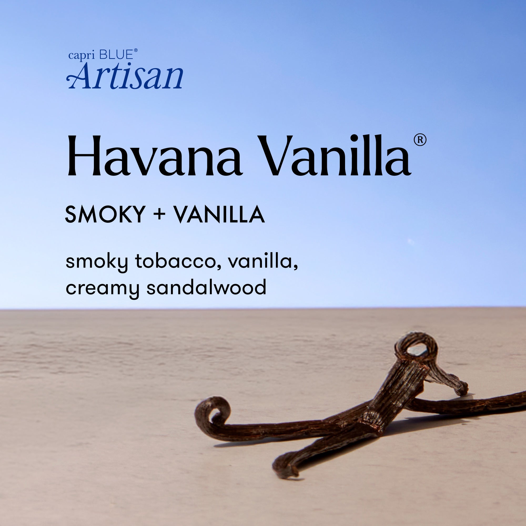 Havana Vanilla Luce d'Amalfi Petite Candle