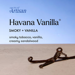 Havana Vanilla Luce d'Amalfi Petite Candle
