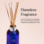 Volcano Signature Reed Diffuser