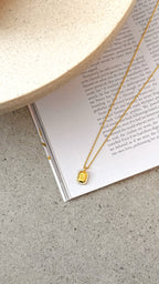 Zodiac Necklace - Capricorn