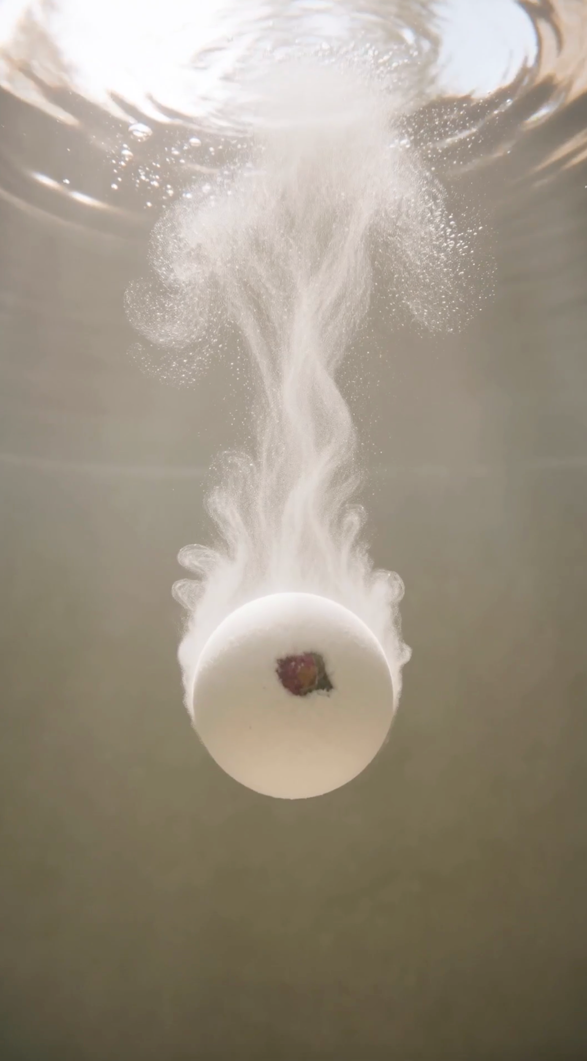 Indulgence - 2.5" Bath Bomb