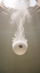 Indulgence - 2.5" Bath Bomb