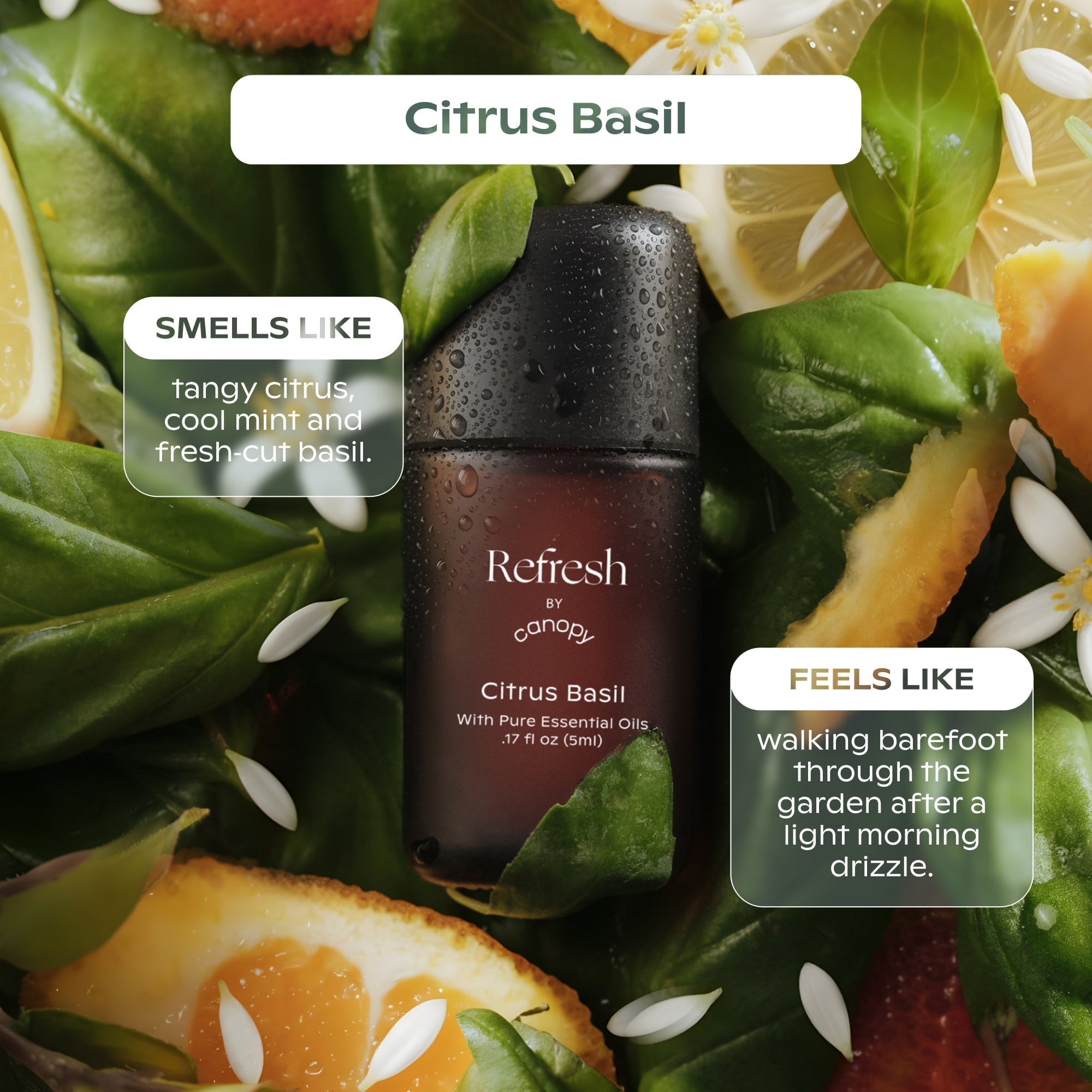 Refresh Aroma Kit
