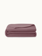 Luxury Silk Comforter Set All Season Bedding