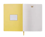 Curio Desk Accessory Collection