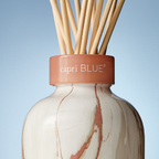 Havana Vanilla Modern Marble Petite Reed Diffuser