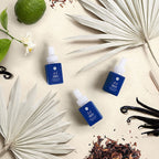 CB + PURA Diffuser Refill 2-Pack Bundle, Havana Vanilla