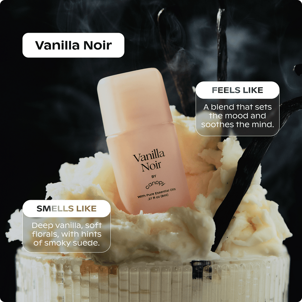 Vanilla Noir Aroma