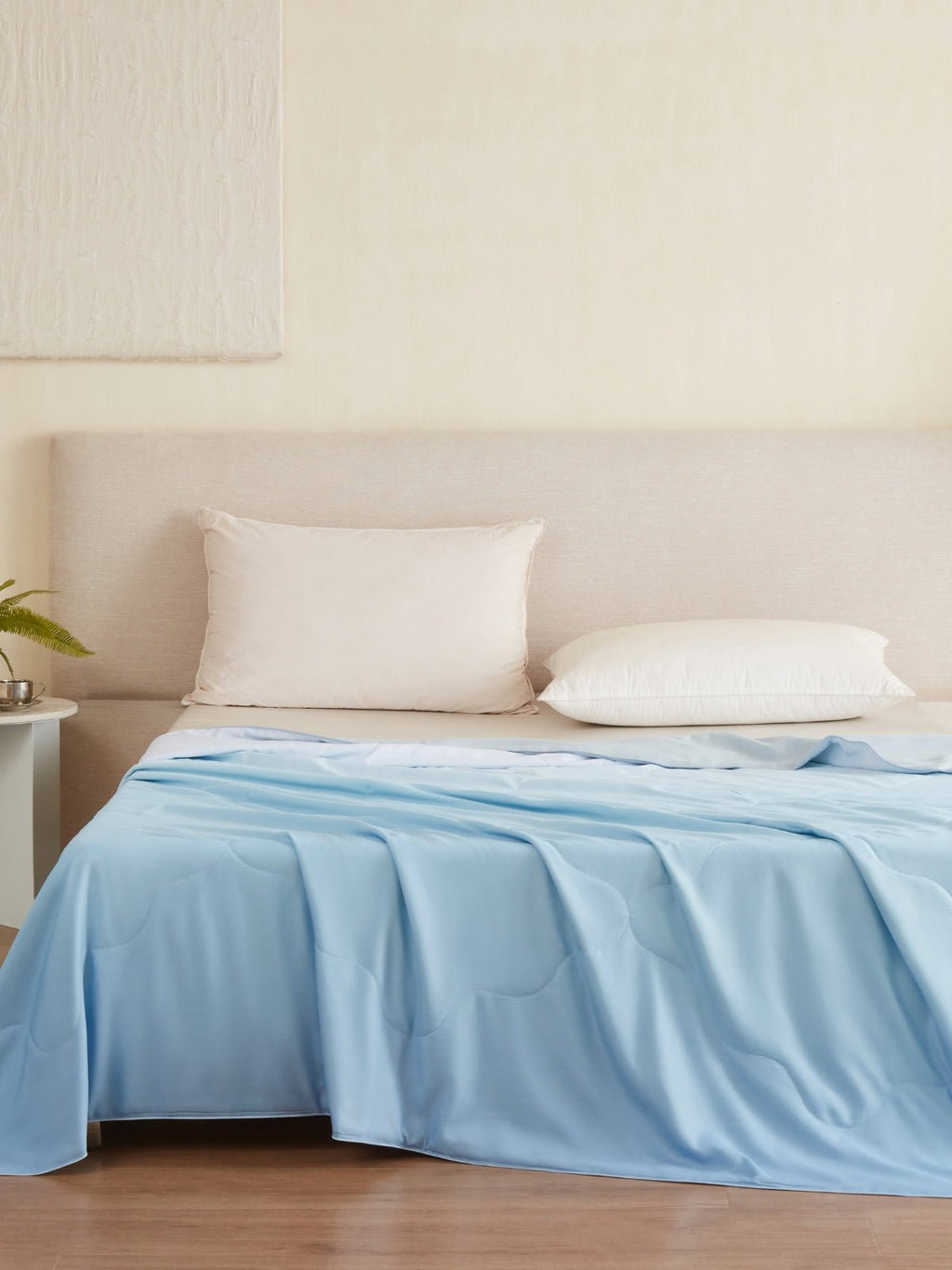 Luxury Gradient Silk Filled Blanket