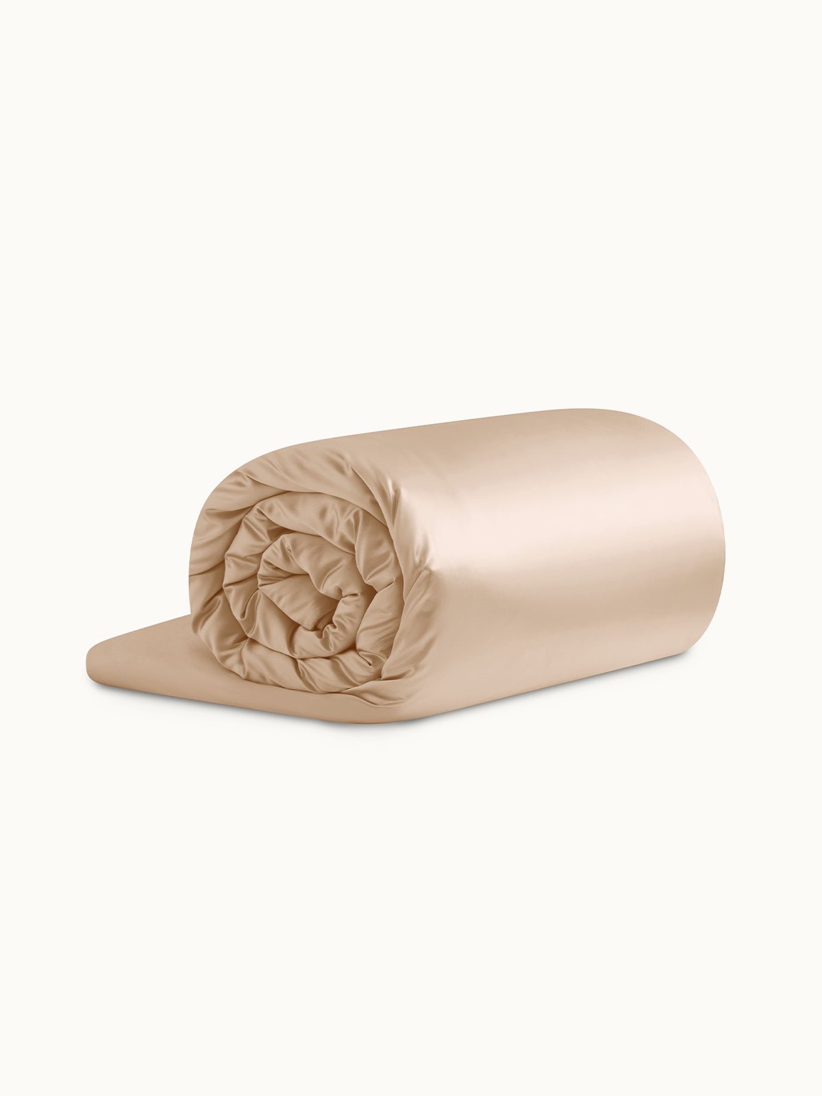 Winter Mulberry Silk Comforter Set